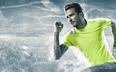 球探体育热评-努涅斯与教练场边激烈交流